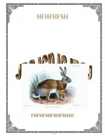 bìa giáo án & bìa sách 5