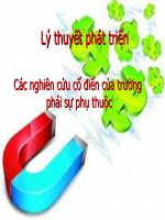 Lý thuyết phát triển potx