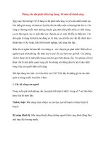 Phỏng vấn nhà phát triển ứng dụng: 10 bước để thành công docx