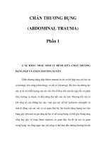 CHẤN THƯƠNG BỤNG (ABDOMINAL TRAUMA) - Phần 1 doc