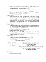 Đề thi và đáp án môn toán tỉnh Hải Dương năm 2010-2011