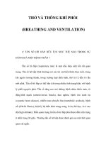 THỞ VÀ THÔNG KHÍ PHỔI (BREATHING AND VENTILATION) pot
