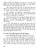 Bảo quản và chế biến sắn - Ths.Cao Văn Hùng phần 4 pps