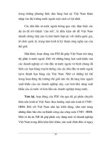 Quá trình hình thành những vấn đề thảo luận trong quá trình đầu tư nước ngoài part7 potx