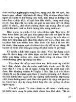 Kỹ Thuật Trồng Cà & Cà Chua - Đường Hồng Dật phần 7 ppsx