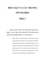 ĐIỆN GIẬT VÀ CÁC THƯƠNG TỔN DO ĐIỆN Phần 2 ppsx