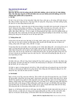 Học sinh ôn thi nên ăn gì ppsx