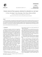 Arsenic removal from aqueous solutions by adsorption on red mud pps