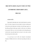 HỘI CHỨNG ĐỘNG MẠCH VÀNH CẤP TÍNH (SYNDROME CORONARIEN AIGU) - PHẦN III pps