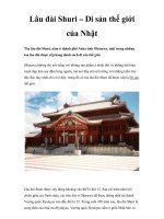 Lâu đài Shuri – Di sản thế giới của Nhật pot