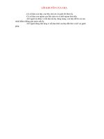 Lời khuyên của cha