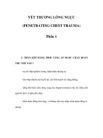 VẾT THƯƠNG LỒNG NGỰC (PENETRATING CHEST TRAUMA) - Phần 1 ppt