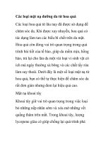 Các loại mặt nạ dưỡng da từ hoa quả pps