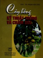 [Nông Nghiệp] Trồng Cây Hồng - Pgs.Ts.Phạm Văn Côn phần 1 ppt