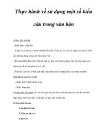 Thực hành về sử dụng một số kiểu câu trong văn bản ppt