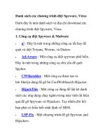 Danh sách các chương trình diệt Spyware, Virus pps