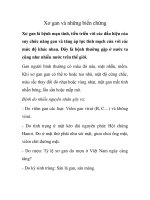 Xơ gan và những biến chứng pdf