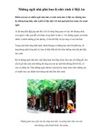 Những ngôi nhà phủ hoa lá nhỏ xinh ở Hội An doc