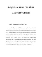 LOẠN TÂM THẦN CẤP TÍNH (ACUTE PSYCHOSIS) potx