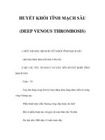 HUYẾT KHỐI TĨNH MẠCH SÂU (DEEP VENOUS THROMBOSIS) potx