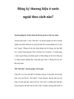 Đăng ký thương hiệu ở nước ngoài theo cách nào? pptx