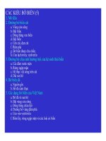 Kỹ thuật bờ biển - kiểu đường bộ part 1 doc