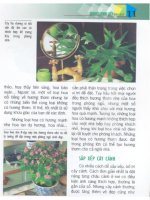 Chăm Sóc Cây Cảnh Trong Nhà - biên dịch Nguyễn Minh Tiến phần 2 doc