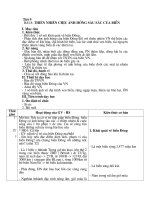 bai 8 thien nhien chiu anh huong sau sac cua bien