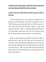 Quá trình hình thành quan hệ biện chứng của LLSX và sự đa dạng hóa các loại hình sở hữu part6 docx