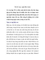 Xử trí say, ngộ độc rượu pot