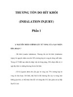 THƯƠNG TỔN DO HÍT KHÓI (INHALATION INJURY) - Phần 1 pdf