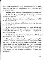 Kỹ Thuật Thâm Canh Cây Mạ - Nguyễn Văn Hoan phần 7 ppsx