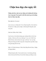 Chậu hoa đẹp cho ngày tết pdf