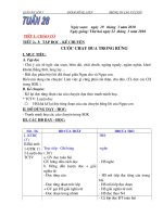 Giao an lop 3 tuan 28 - 31 CKTKN