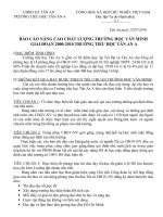 Báo cáo truong hoc văn minh