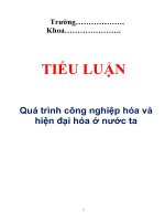 Tiểu luận: Quá trình công nghiệp hóa và hiện đại hóa ở nước ta ppsx