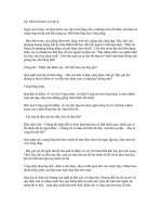 SỰ TÍCH CÔNG VÀ QUẠ