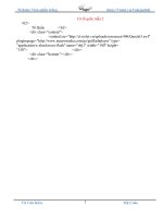 Cờ tổ quốc mẫu 2