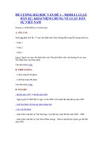 LUẬT DÂN SỰ : KHÁI NIỆM CHUNG VỀ LUẬT DÂN SỰ VIỆT NAM pot