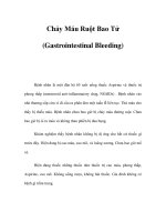 Chảy Máu Ruột Bao Tử (Gastrointestinal Bleeding) pps
