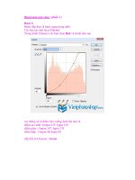 Blend màu nâu vàng ( phần 2 ) pptx