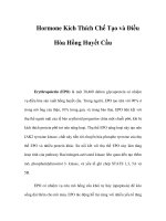 Hormone Kích Thích Chế Tạo và Điều Hòa Hồng Huyết Cầu docx