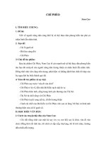 Tác phẩm Chí Phèo (Nam Cao)