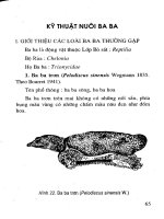 Kỹ Thuật Nuôi Ếch, Cua, Baba, Nhím, Trăn - Ngô Trọng Lư phần 6 docx