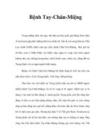 Bệnh Tay-Chân-Miệng docx