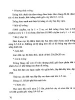 Kỹ Thuật Trồng 1 Số Cây Con Dưới Tán Rừng phần 5 ppsx