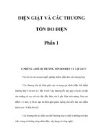 ĐIỆN GIẬT VÀ CÁC THƯƠNG TỔN DO ĐIỆN Phần 1 doc