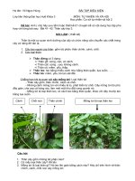 Bài 41-41:Thân cây