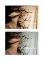 Hiêu ứng ảnh - Biến ảnh thành tranh pot