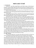 SKKN MON TIENG VIET LOP 1